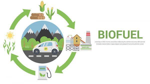 日媒:日企拟用农产品废料生产生物乙醇